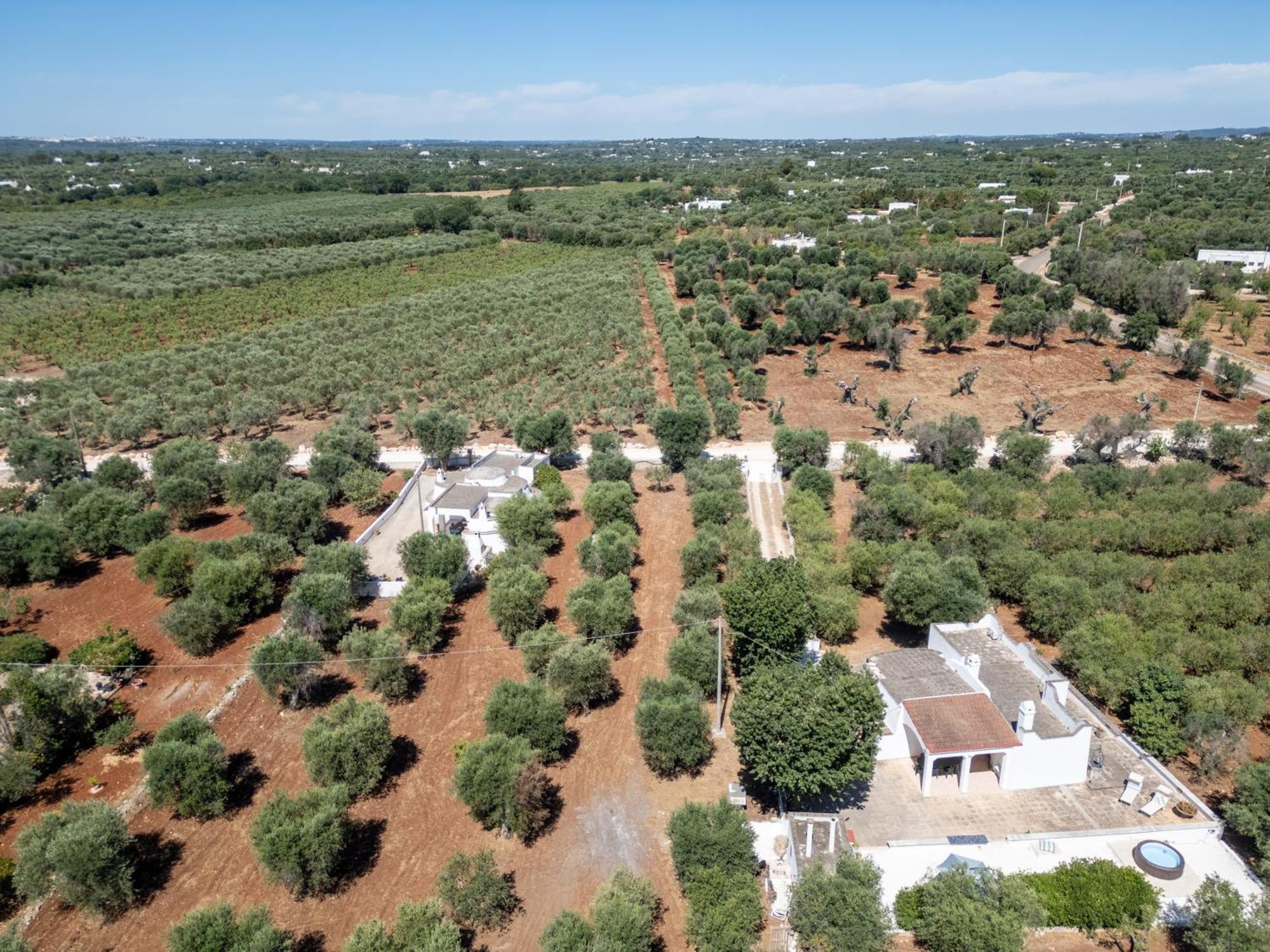 Trullo La Quercia Villa Ostuni Ngoại thất bức ảnh